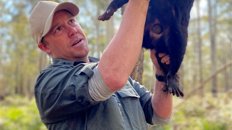 belgaimage-176798205