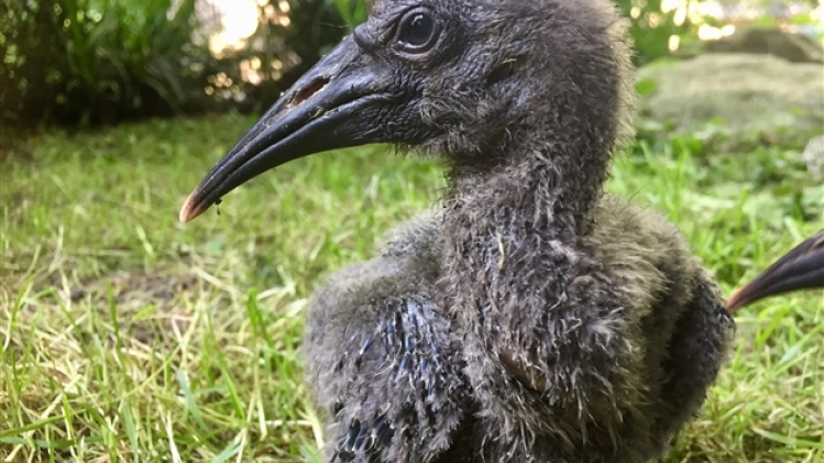 belgaimage-177663269-full