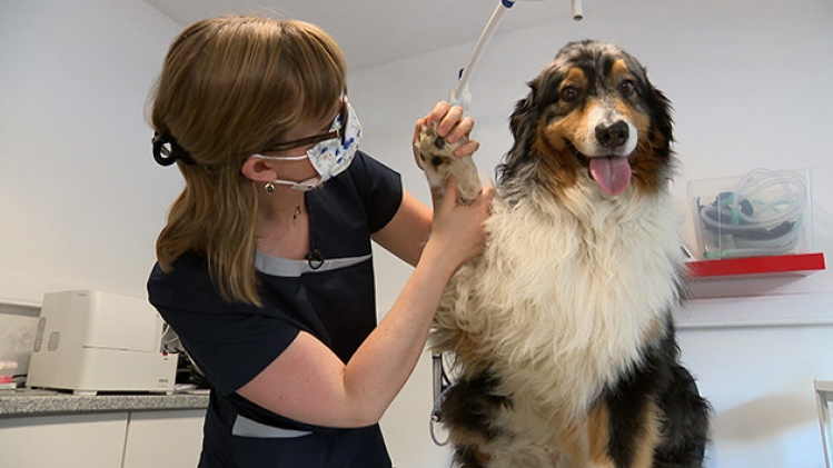 Grab_20210619_185605_989