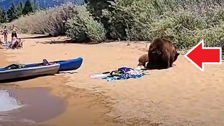 Screenshot_20210706-102133_Instagram