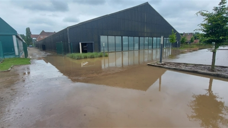 whatsapp image 2021-07-16 at 13.11.37