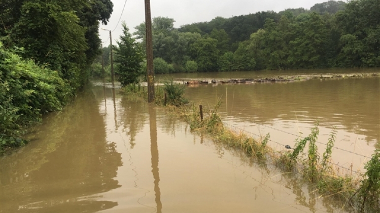 whatsapp image 2021-07-16 at 09.30.08