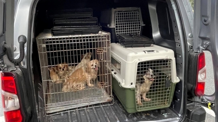 221614705_2442854955858620_7601950203775824652_n