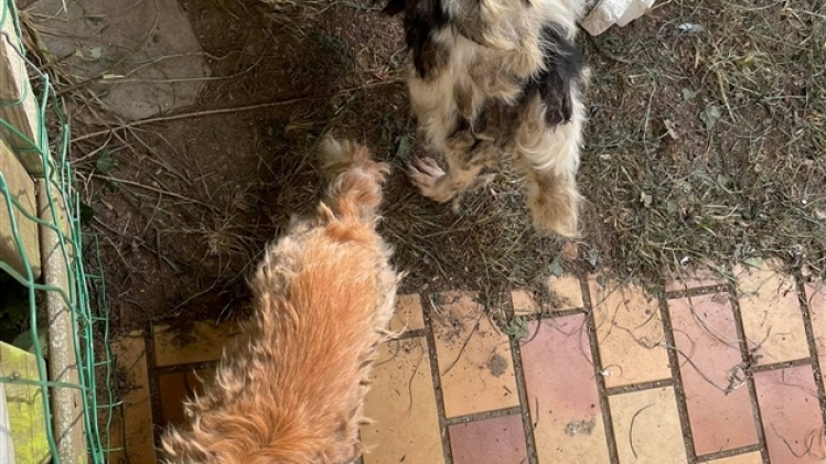 223433443_2442854172525365_3329689097212335511_n