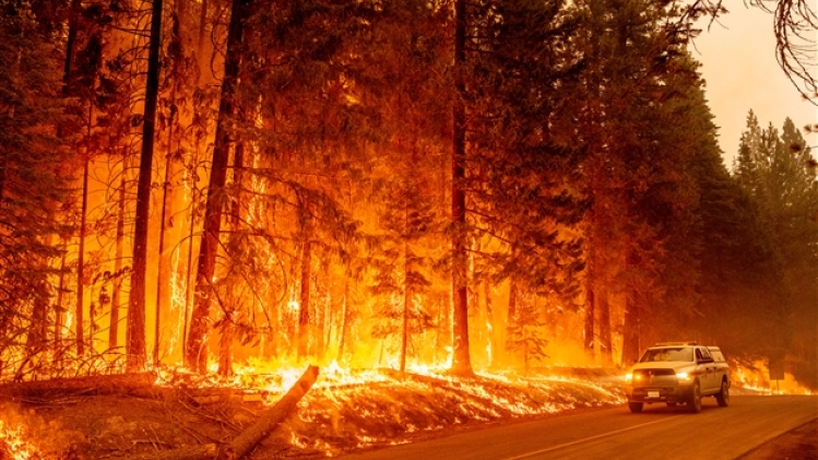 belgaimage-179177764