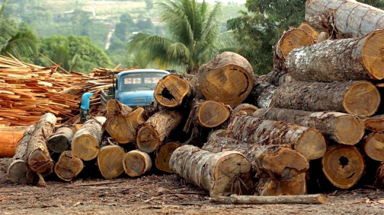 belgaimage-3283362-full