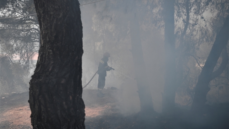 belgaimage-179368759