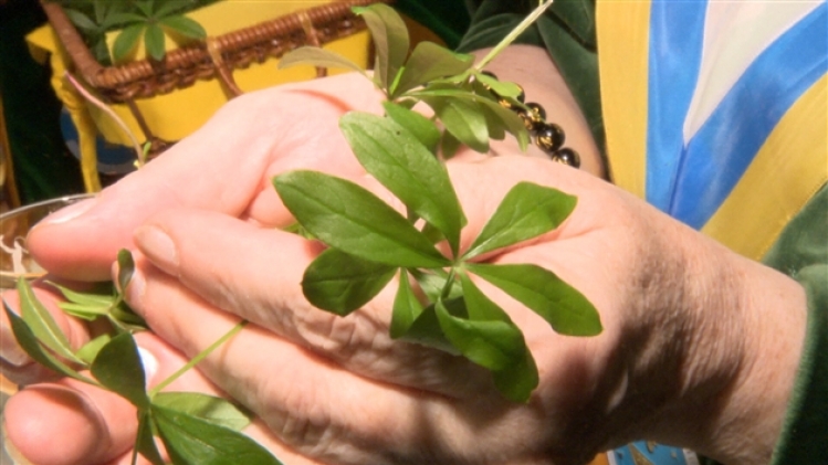 grab_20210801_190145_989