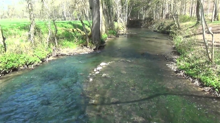 grab_20210801_190303_989