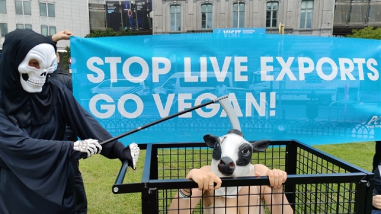 belgaimage-179930515-full