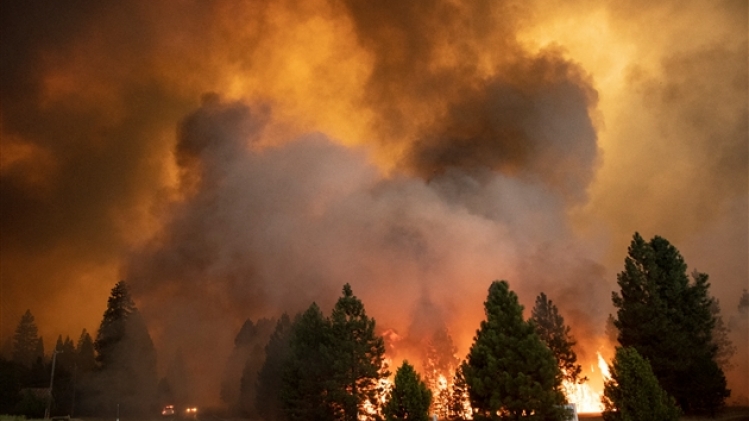 belgaimage-179858130