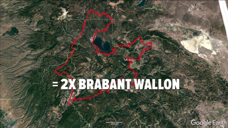 grab_20210810_143038_593