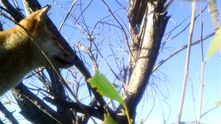 grab_20210814_153619_989