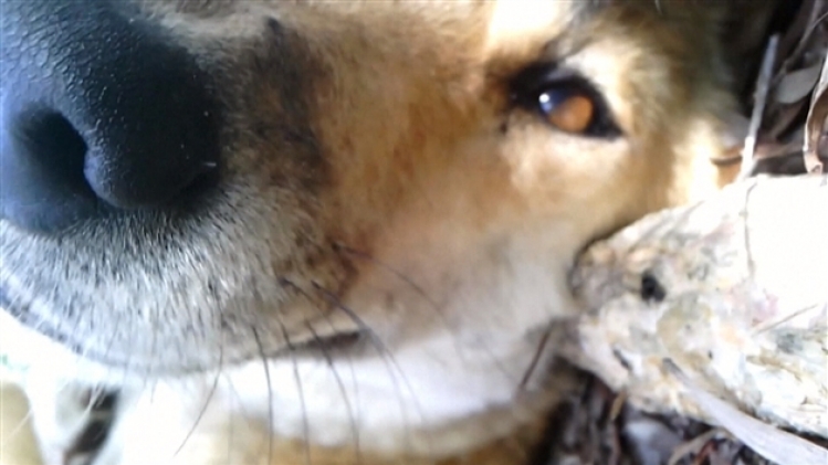 grab_20210814_153703_989