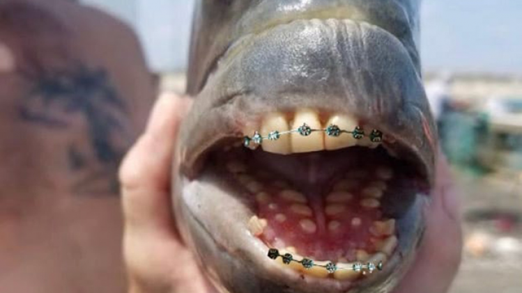 235033572_10220324186600845_5899031073133980217_n