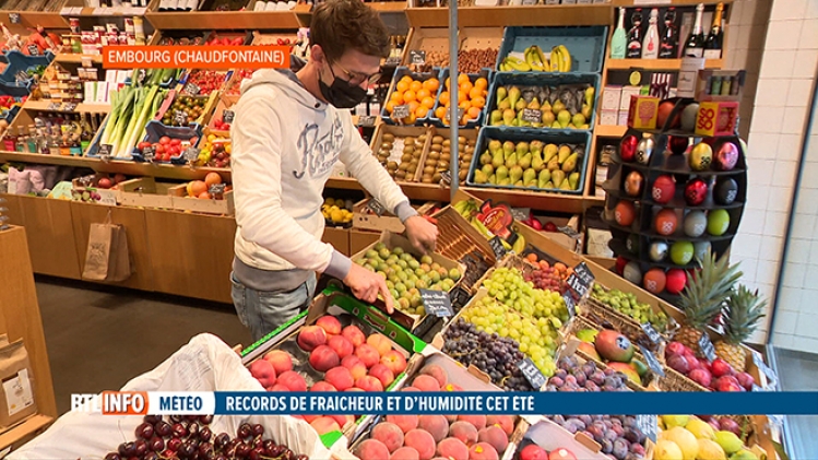 fruit légume pluie belgique