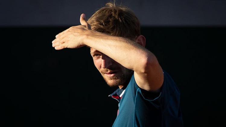 david goffin