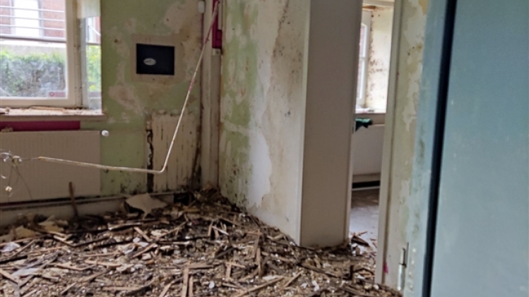 239787081_615535186077999_5210901955343414751_n