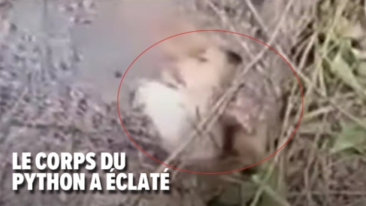 maquette-photo-660-px