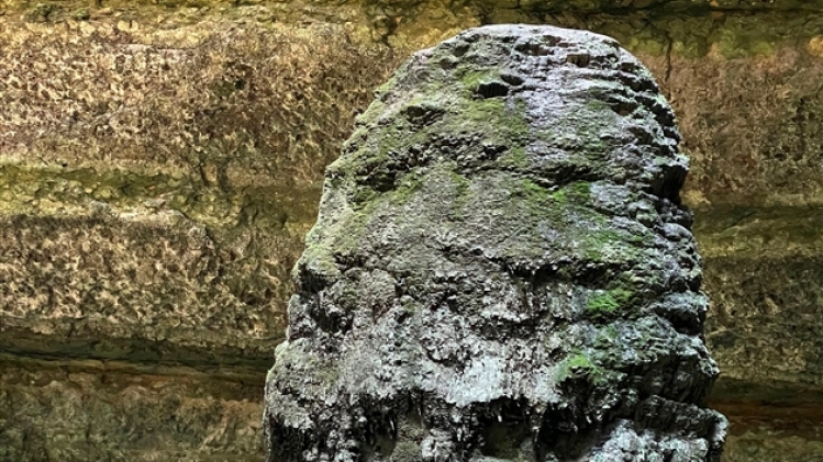 belgaimage-181884777