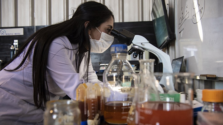 belgaimage-182622451