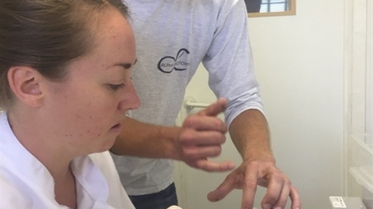 formation traite venin sur mygale