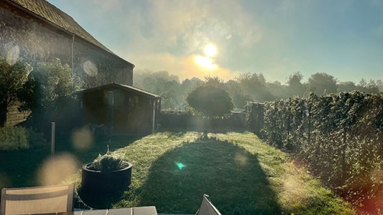 toiles-araignees-belgique-2