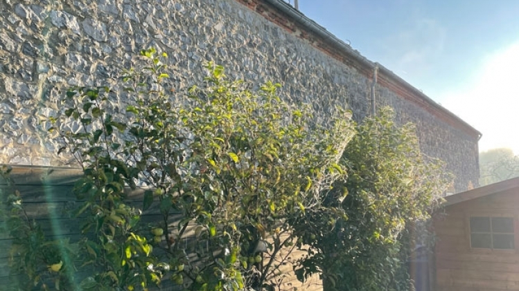 toiles-araignees-belgique-3