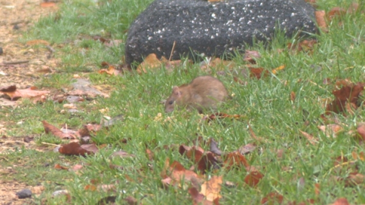 grab_20211104_142909_808