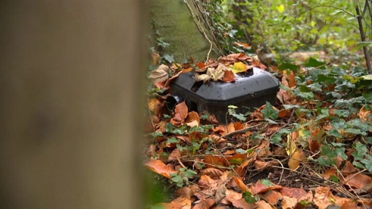 grab_20211104_142335_808