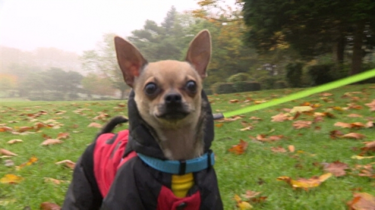 grab_20211104_142313_808