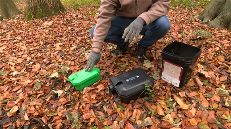 grab_20211104_104348_808