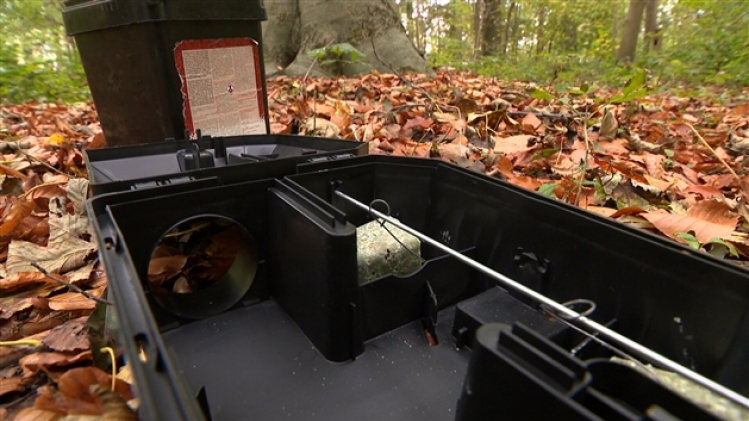 grab_20211104_104819_808