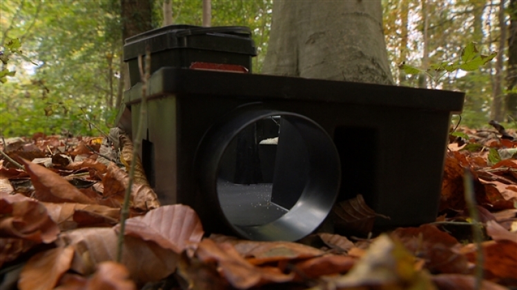 grab_20211104_104812_808