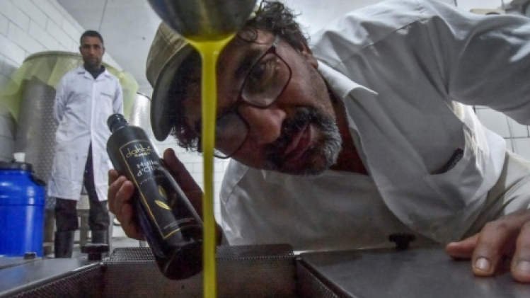 L'élixir de Hakim Alilèche, une huile d'olive bio primée à l'international