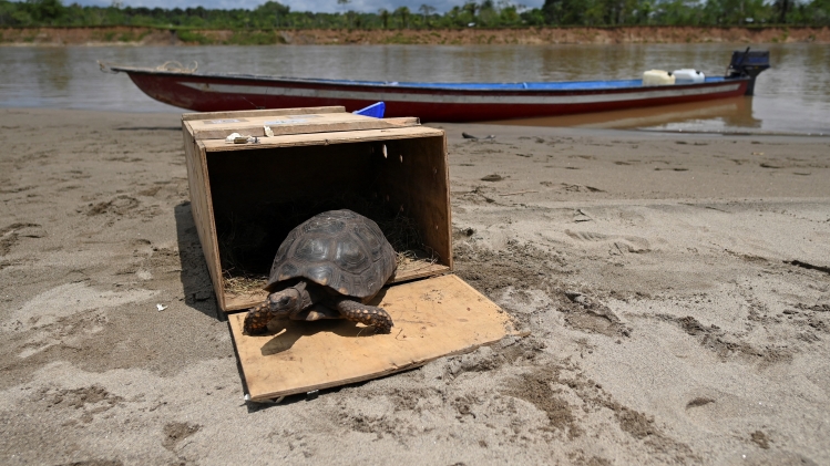 BELGAIMAGE-183882170