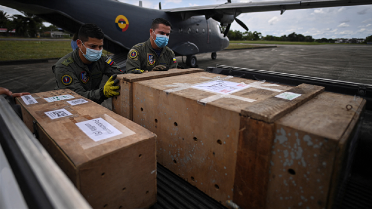 BELGAIMAGE-183882174