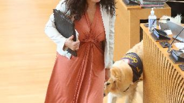 L'ASBL Os'mose consacre 16 chiens d'assistance en présence du prince Laurent