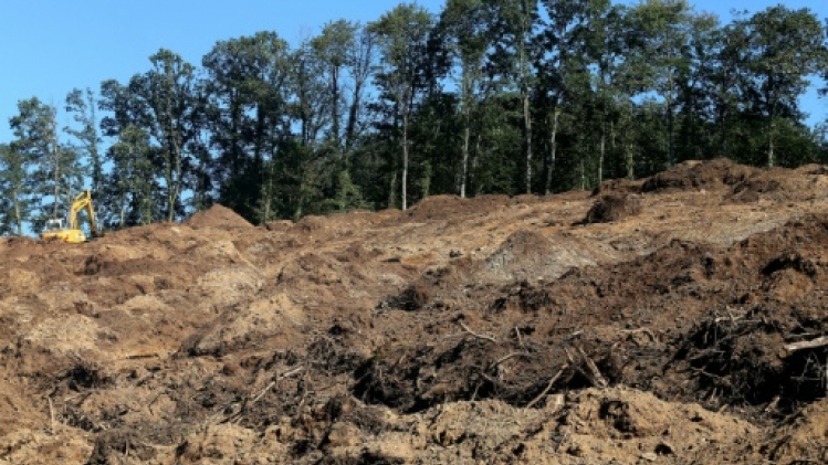 Disparition d'Estelle Mouzin: nouvelles recherches dans les Ardennes à partir de lundi