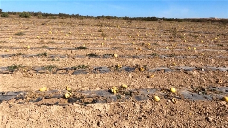 grab_20211116_175848_989