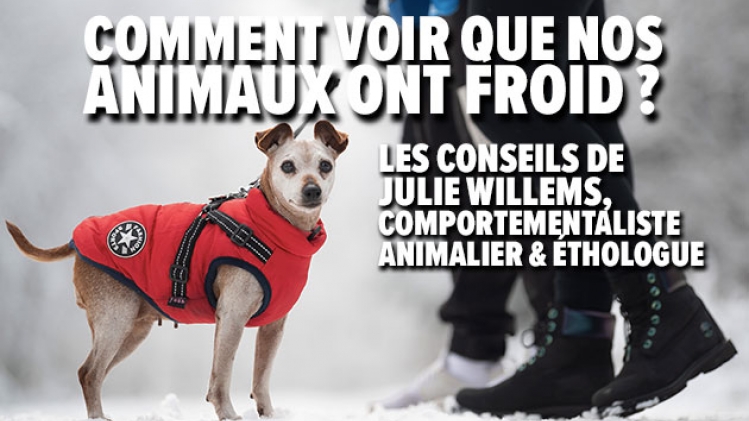 belgaimage-171814359-full