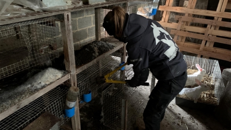 264275662_10160050624420854_7499973668575669183_n