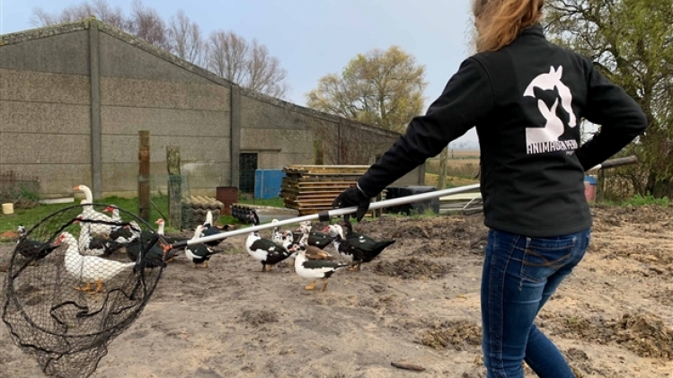 264858295_10160050594465854_2109403742944164011_n