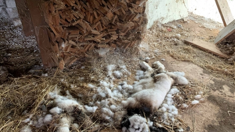 263505439_10160050594555854_705351308087463049_n