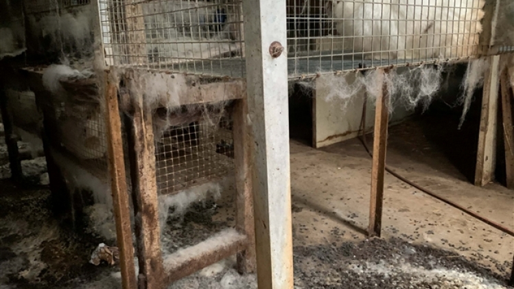 263623261_10160050625820854_4740653042786113909_n