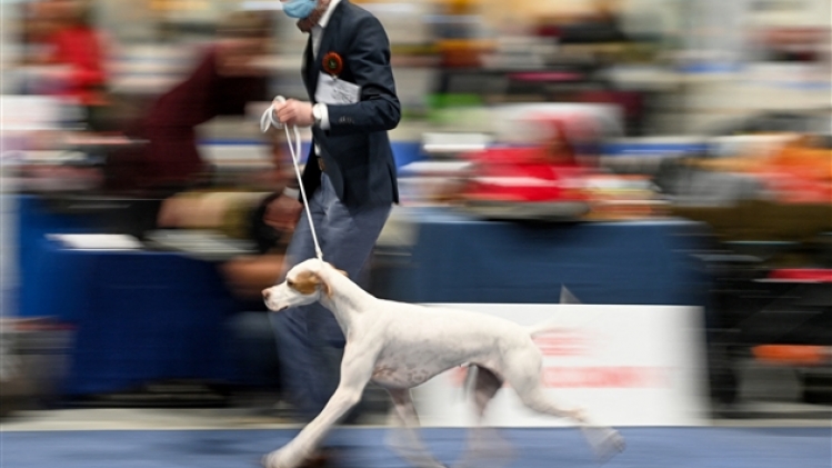 belgaimage-185891552