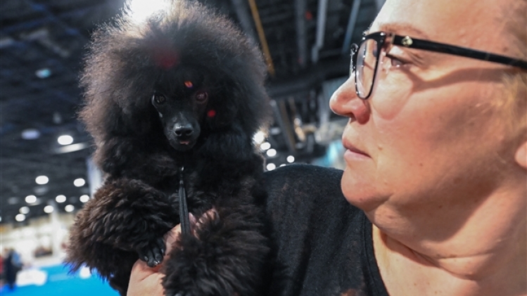 belgaimage-185891550