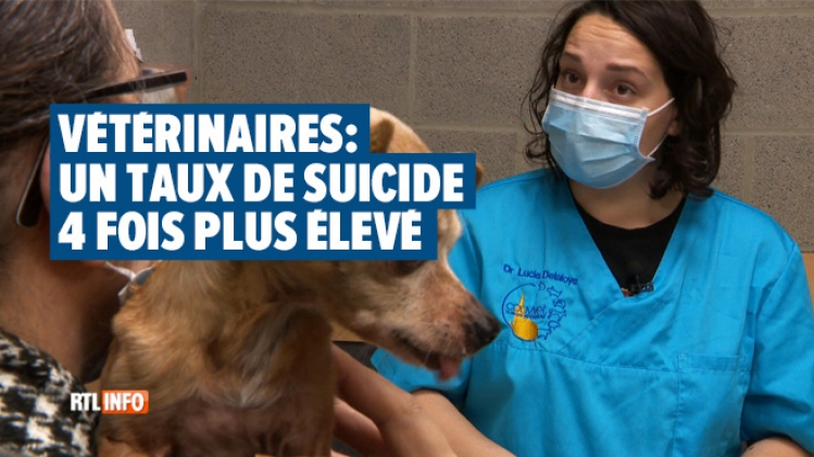 0veterinaires-suicide-rtlinfo
