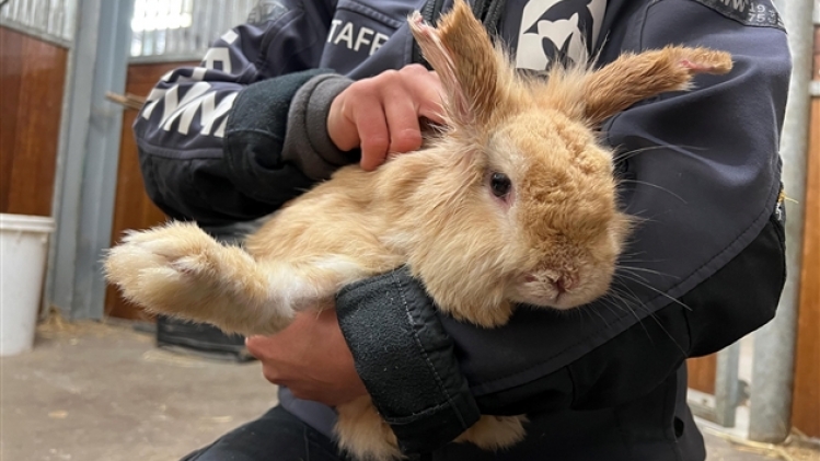 272072125_10160129777015854_4988770819771488540_n