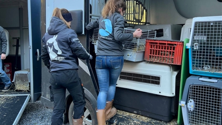 271971928_10160129776365854_1111689444972974500_n